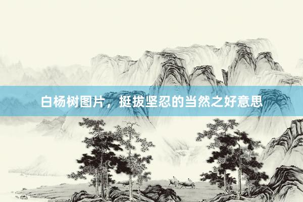 白杨树图片，挺拔坚忍的当然之好意思